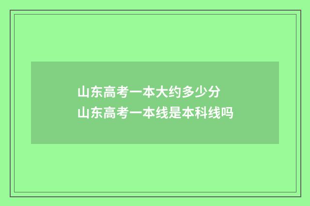 山东高考一本大约多少分 山东高考一本线是本科线吗