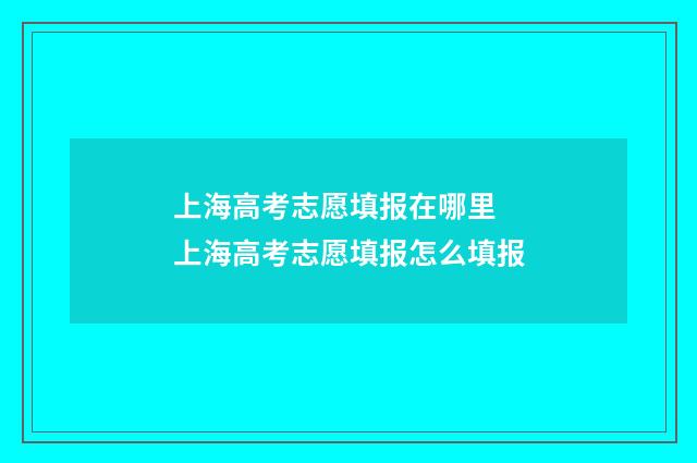上海高考志愿填报在哪里 上海高考志愿填报怎么填报