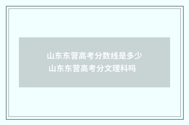 山东东营高考分数线是多少 山东东营高考分文理科吗