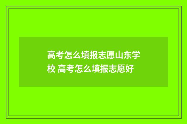 高考怎么填报志愿山东学校 高考怎么填报志愿好