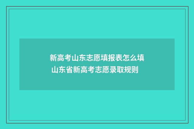 新高考山东志愿填报表怎么填 山东省新高考志愿录取规则