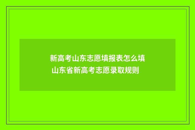 新高考山东志愿填报表怎么填 山东省新高考志愿录取规则