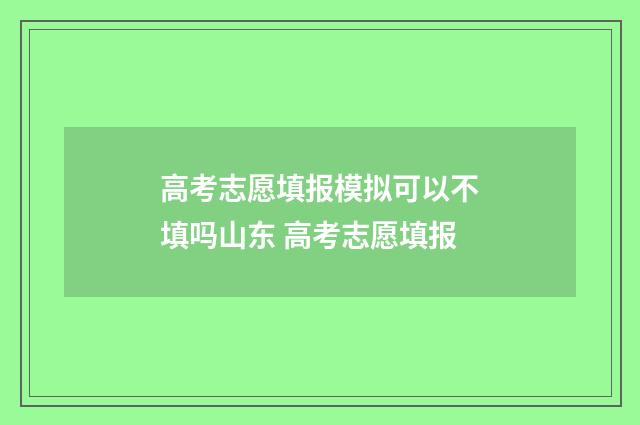 高考志愿填报模拟可以不填吗山东 高考志愿填报