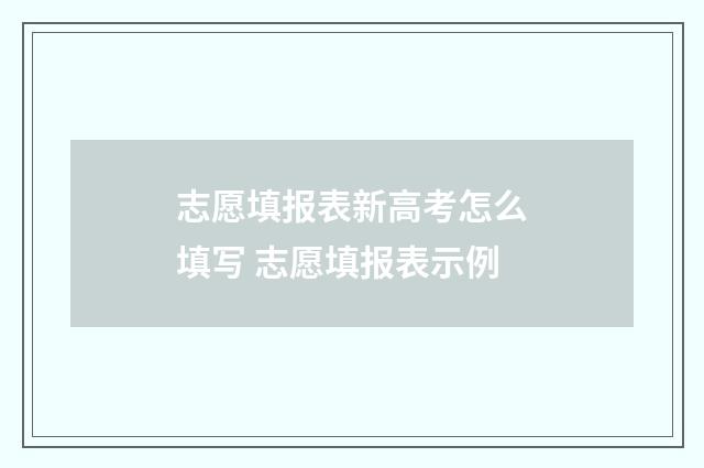 志愿填报表新高考怎么填写 志愿填报表示例