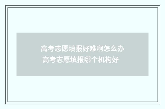 高考志愿填报好难啊怎么办 高考志愿填报哪个机构好