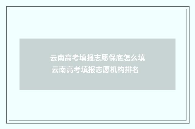 云南高考填报志愿保底怎么填 云南高考填报志愿机构排名