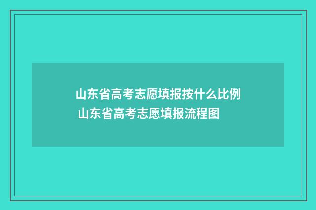 山东省高考志愿填报按什么比例 山东省高考志愿填报流程图