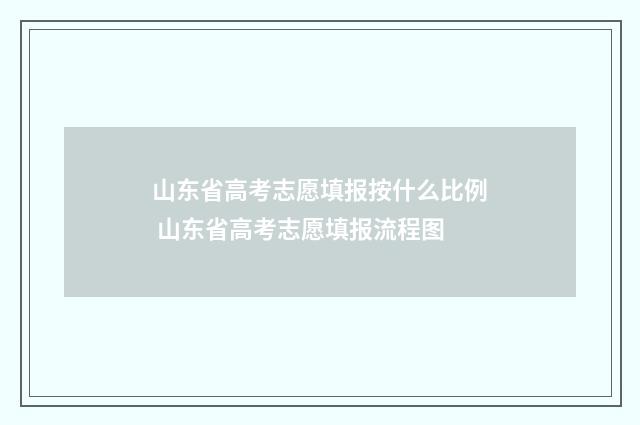 山东省高考志愿填报按什么比例 山东省高考志愿填报流程图
