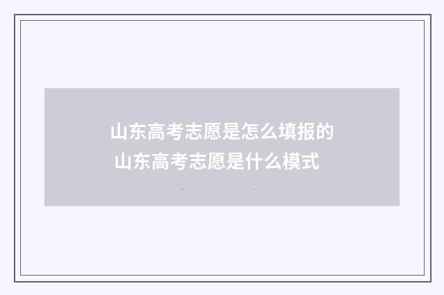 山东高考志愿是怎么填报的 山东高考志愿是什么模式