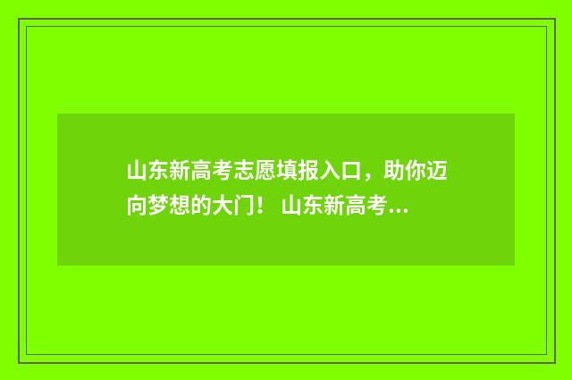 山东新高考志愿填报入口,助你迈向梦想的大门! 山东新高考志愿表填写样本