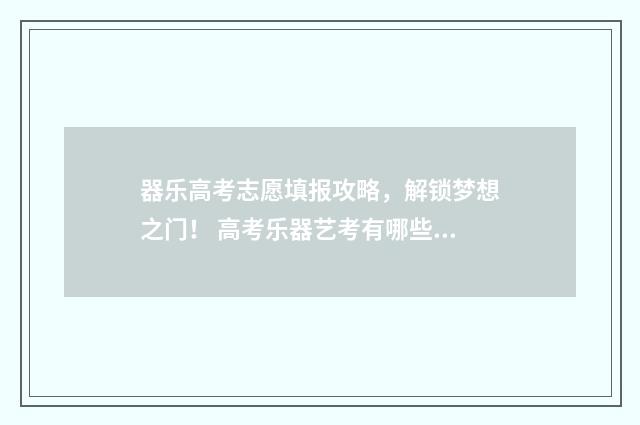 器乐高考志愿填报攻略，解锁梦想之门！ 高考乐器艺考有哪些项目