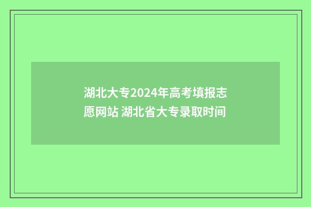 湖北大专2024年高考填报志愿网站 湖北省大专录取时间