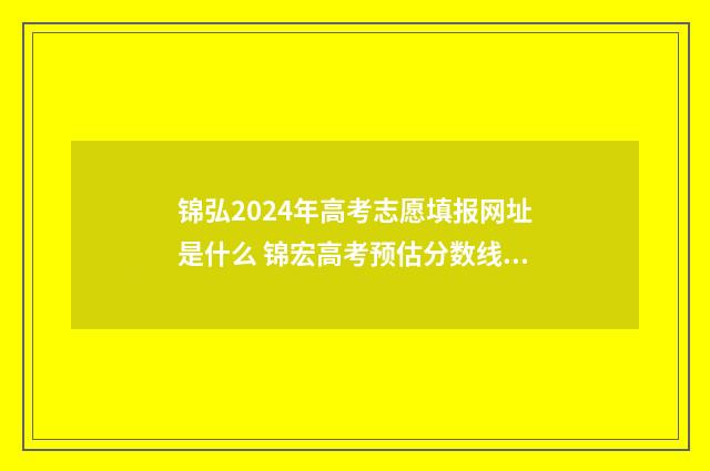 锦弘2024年高考志愿填报网址是什么 锦宏高考预估分数线准确吗