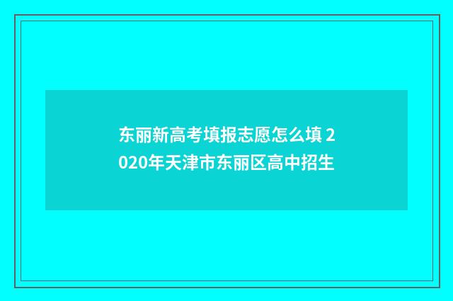 东丽新高考填报志愿怎么填 2020年天津市东丽区高中招生