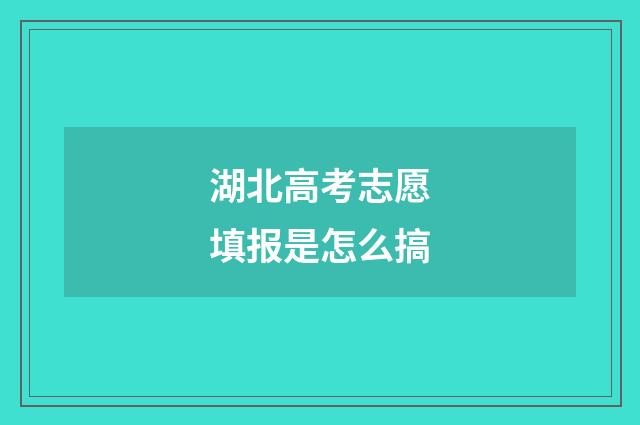 湖北高考志愿填报是怎么搞
