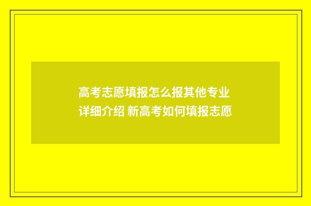 高考志愿填报怎么报其他专业 详细介绍 新高考如何填报志愿