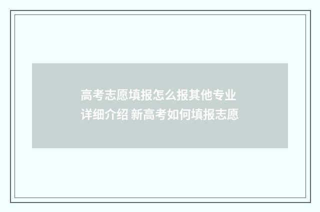 高考志愿填报怎么报其他专业 详细介绍 新高考如何填报志愿