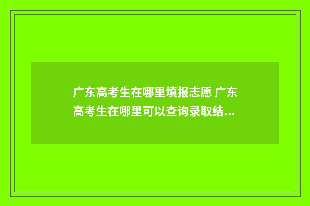 广东高考生在哪里填报志愿 广东高考生在哪里可以查询录取结果