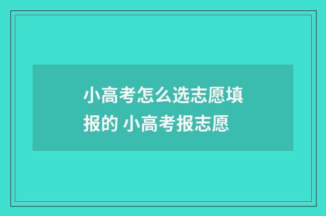 小高考怎么选志愿填报的 小高考报志愿