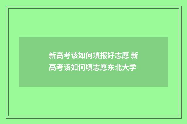 新高考该如何填报好志愿 新高考该如何填志愿东北大学