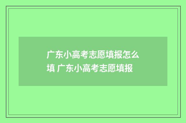广东小高考志愿填报怎么填 广东小高考志愿填报