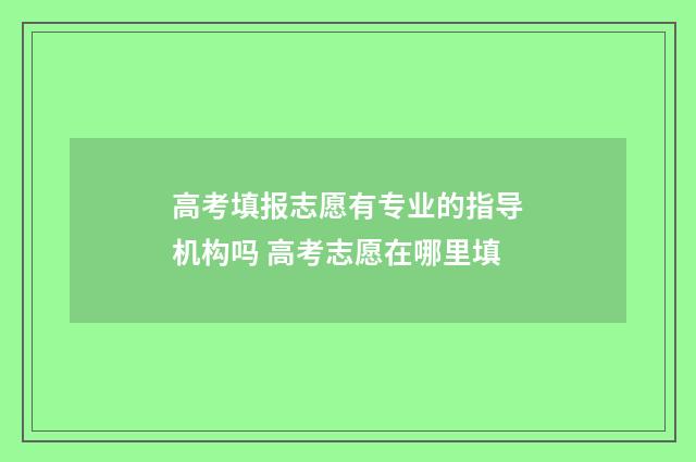 高考填报志愿有专业的指导机构吗 高考志愿在哪里填