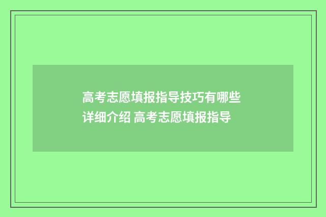高考志愿填报指导技巧有哪些 详细介绍 高考志愿填报指导