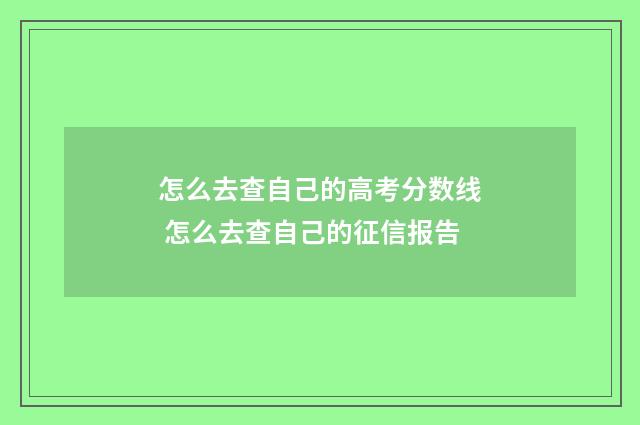 怎么去查自己的高考分数线 怎么去查自己的征信报告