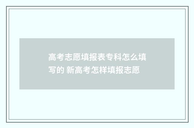 高考志愿填报表专科怎么填写的 新高考怎样填报志愿