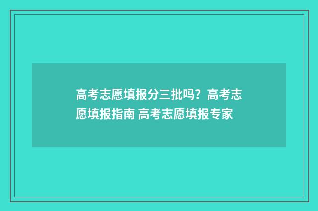高考志愿填报分三批吗？高考志愿填报指南 高考志愿填报专家