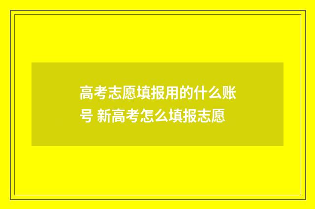 高考志愿填报用的什么账号 新高考怎么填报志愿