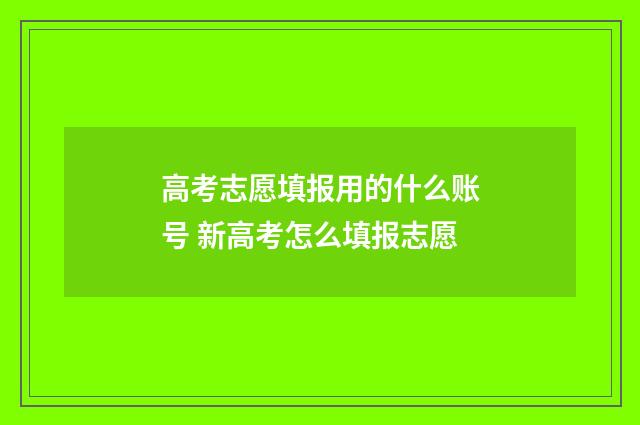 高考志愿填报用的什么账号 新高考怎么填报志愿