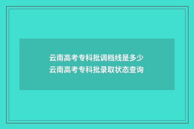 云南高考专科批调档线是多少 云南高考专科批录取状态查询
