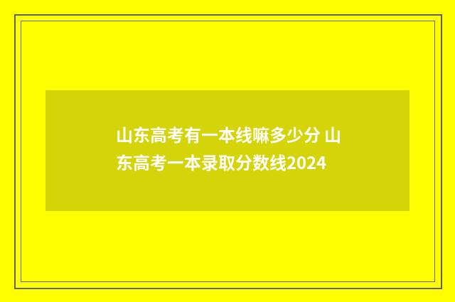 山东高考有一本线嘛多少分 山东高考一本录取分数线2024