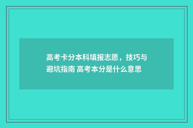 高考卡分本科填报志愿，技巧与避坑指南 高考本分是什么意思
