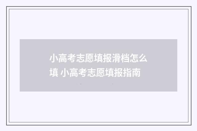 小高考志愿填报滑档怎么填 小高考志愿填报指南