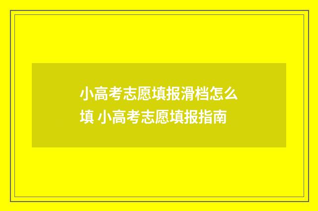 小高考志愿填报滑档怎么填 小高考志愿填报指南
