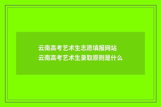 云南高考艺术生志愿填报网站 云南高考艺术生录取原则是什么