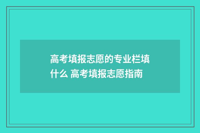 高考填报志愿的专业栏填什么 高考填报志愿指南