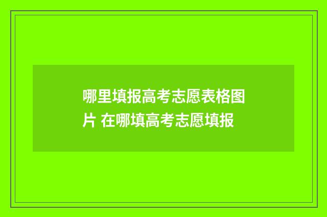 哪里填报高考志愿表格图片 在哪填高考志愿填报