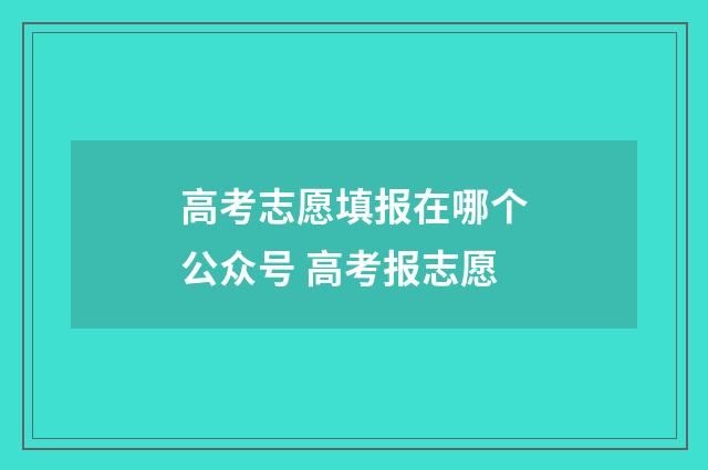 高考志愿填报在哪个公众号 高考报志愿