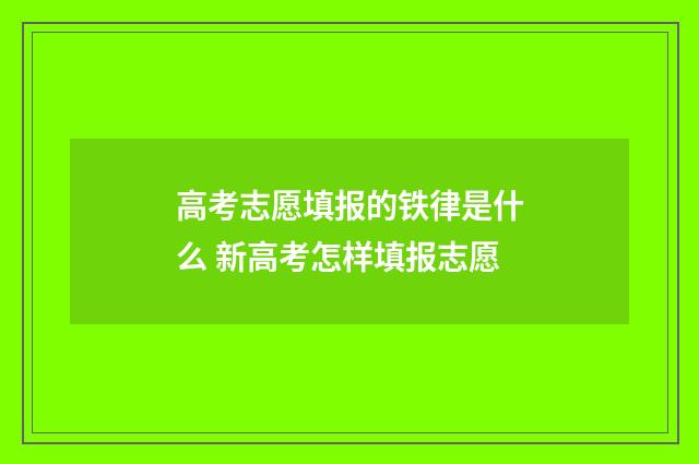 高考志愿填报的铁律是什么 新高考怎样填报志愿