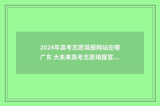 2024年高考志愿填报网站在哪广东 大未来高考志愿填报官网