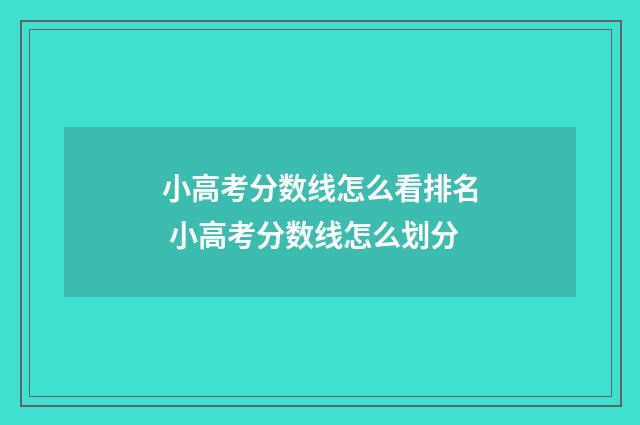 小高考分数线怎么看排名 小高考分数线怎么划分