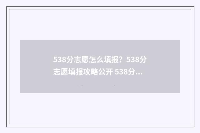 538分志愿怎么填报？538分志愿填报攻略公开 538分能报什么大学
