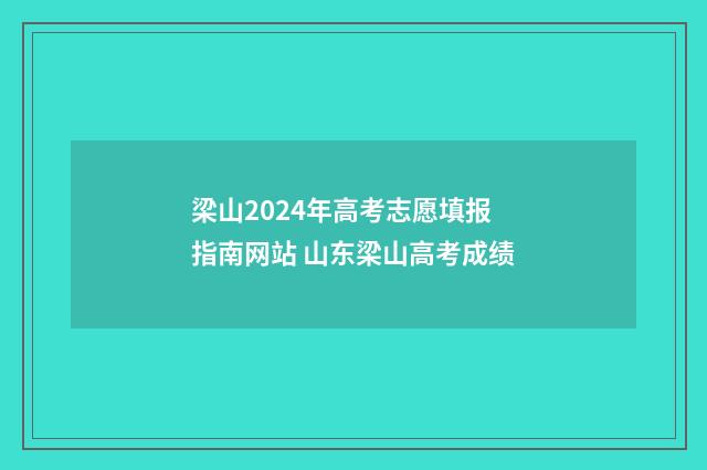 梁山2024年高考志愿填报指南网站 山东梁山高考成绩