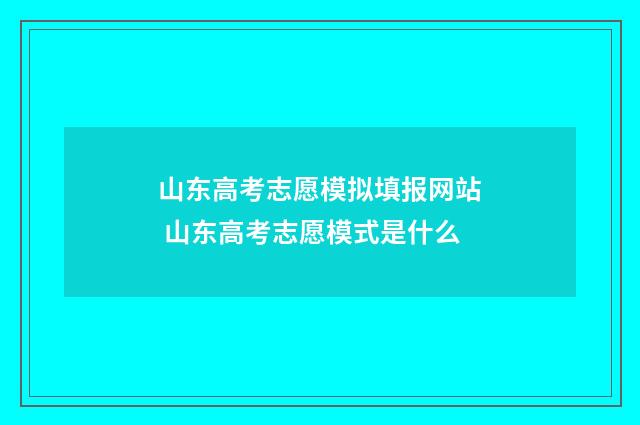 山东高考志愿模拟填报网站 山东高考志愿模式是什么