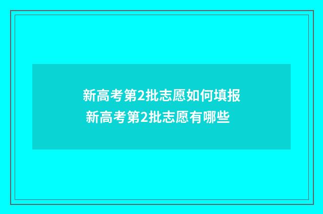 新高考第2批志愿如何填报 新高考第2批志愿有哪些