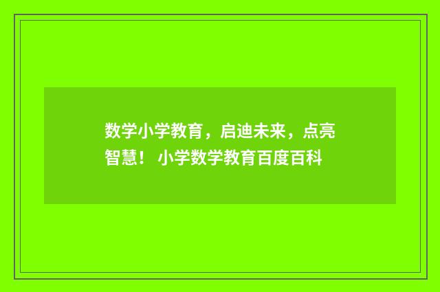 数学小学教育，启迪未来，点亮智慧！ 小学数学教育百度百科