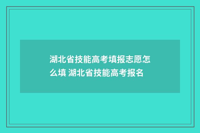 湖北省技能高考填报志愿怎么填 湖北省技能高考报名
